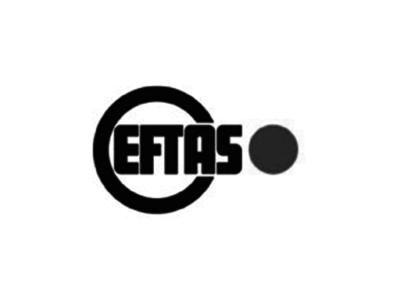 Referenz: EFTAS Fernerkundung