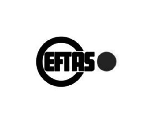 Referenz: EFTAS Fernerkundung